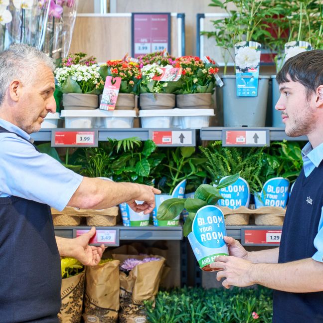 tutor e apprendista in filiale nell'area fiori