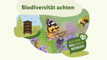 Biodiversität
