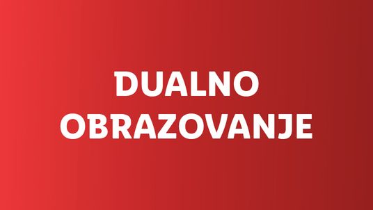 Dualno obrazovanje