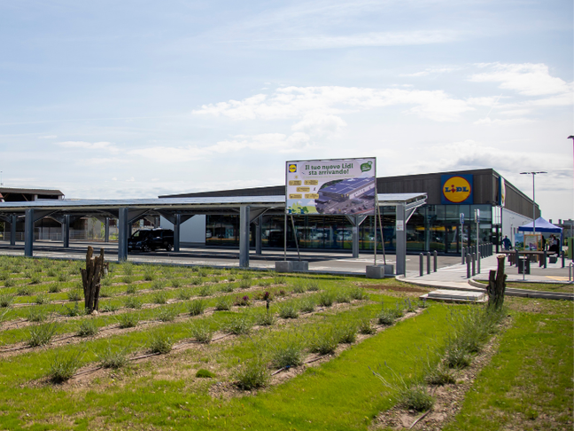 Punto Vendita Lidl di Villafranca (VR)