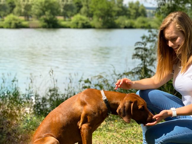 Tamara liebt es, mit ihren Welpen in der abwechslungsreichen Natur spazieren zu gehen.