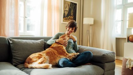 Frau sitzt auf einem Sofa und streichelt einen Hund.