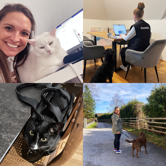 Collage von mehreren Mitarbeiter:innen im Home Office, zusammen mit ihren Haustieren