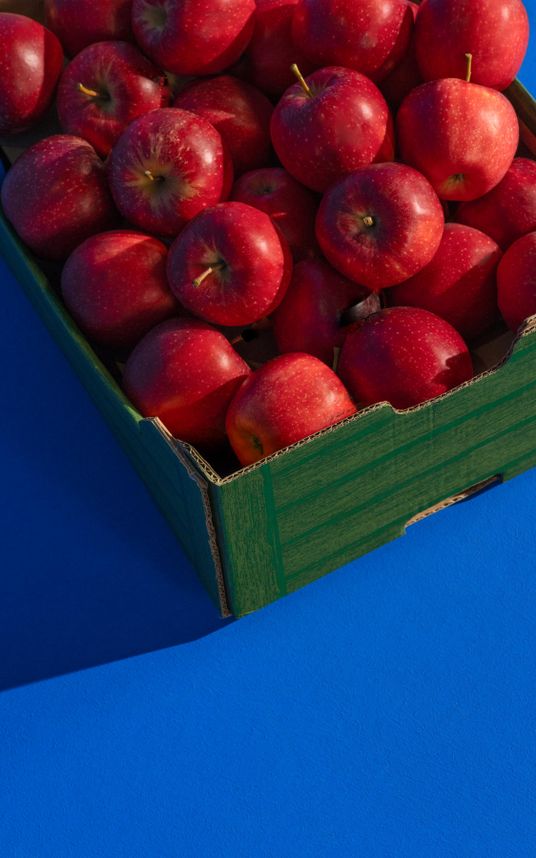 Palette mit Äpfeln