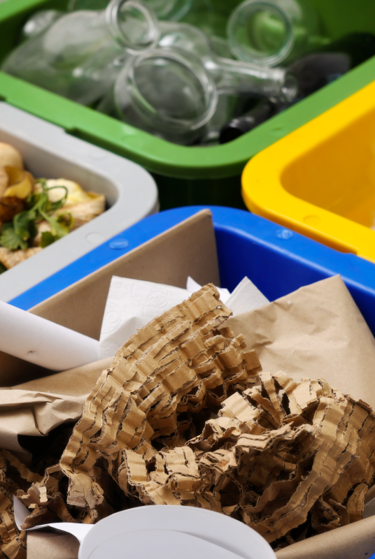 Image avec des bacs contenants des biodéchets (épluchures et caton biodégradable)