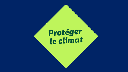 Pillier 1.png